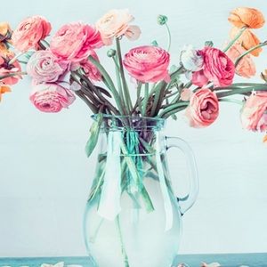 Meet your Posher, Bridget